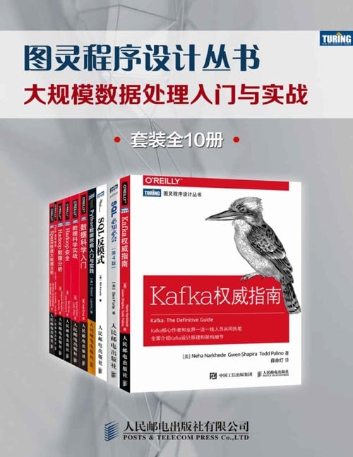 名称：图灵程序设计丛书：大规模数据处理入门与实战（套装全10册)描述：本套装共包含《SQL反模式》、《SQL必知必会（第4版））》、《数据科学实战》、《Spark快速大数据分析》、《数据科学入门》、《Python数据挖掘入门与实践》、《Hadoop安全：大数据平台隐私保护》、《Kafka权威指南》、《Hadoop数据分析》、《Flink基础教程》10本书链接：