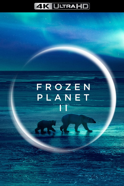 名称：《冰冻星球 第二季》（2022年）4k高清版（含中文字幕，附第一季1080P），11年后再度重磅回归，大卫•爱登堡担纲解说，一起来感受极地窒息之美！描述：BBC Earth星球系列年度巨制《冰冻星球II》(Frozen Planet II) 在第一季播出11年后重磅回归