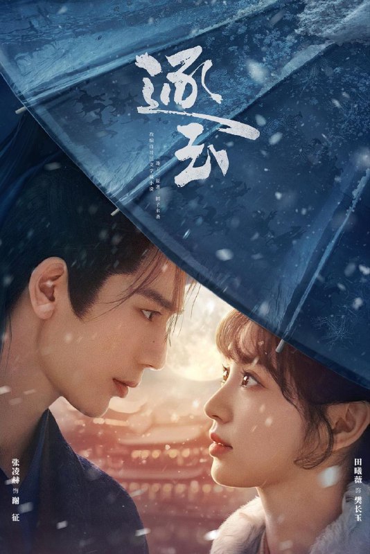 名称：逐玉 (2026) 4K DoVi 高码率 [HDR.Vivid.60fps] [杜比全景声] [更新24集]描述：该剧改编自晋江文学城团子来袭的小说《逐玉》