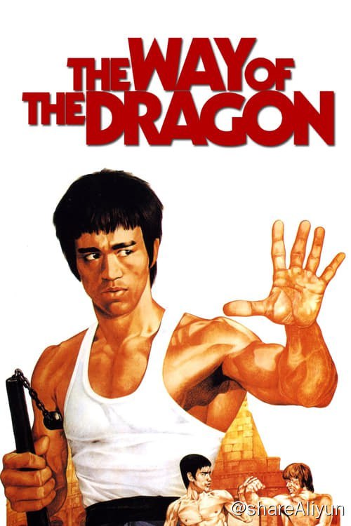 名称：猛龙过江 (1975)描述：新年前夕，香港青年唐龙（李小龙 饰）受远在罗马经营餐厅的陈清华（苗可秀 饰）之叔父所托，远赴罗马助陈清华一臂之力