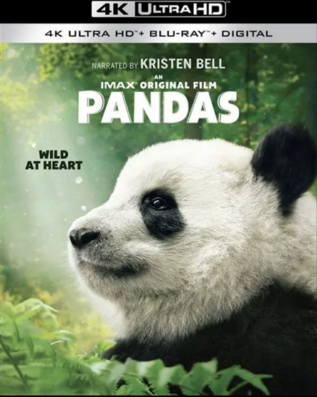 名称：大熊猫 4K(2160P)             REMUX (蓝光 原盘)描述：Giant pandas影片年代：2018影片产地：美国对白语音：英语影片字幕：中字外挂字幕电影简介：IMAX打造的原创纪录片，在中国成都熊猫基地，科学家们致力于让成年熊猫繁殖，将幼崽引入野外