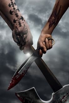 名称：猎魔人：血源 (2022)|Netflix出品|杨紫琼主演奇幻冒险剧|1080HD|内嵌中字|剧集均已削刮整理|内附预告片|可适配kodi emby描述：聚焦《猎魔人》事件前1200年的精灵世界和文明，探索第一个猎魔人的起源，和什么事件导致了著名的大灾难“世界交汇”：人类、怪物、精灵的世界会合而为一，大量知识永久消失，历史被改写