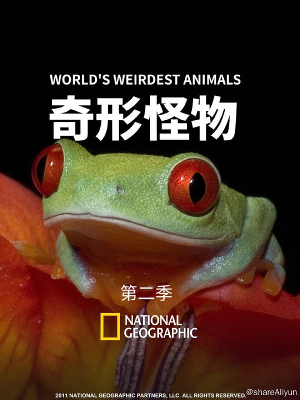 名称：奇形怪物 第二季 (2012)1080描述：這個全新的系列呈現動物王國中最奇特、瘋狂、怪異和令人匪夷所思的行為