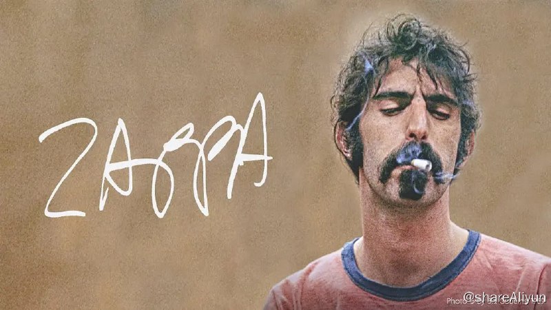 名称：扎帕 Zappa (2020) 1080描述：深入了解音乐家 Frank Zappa 的生平和工作