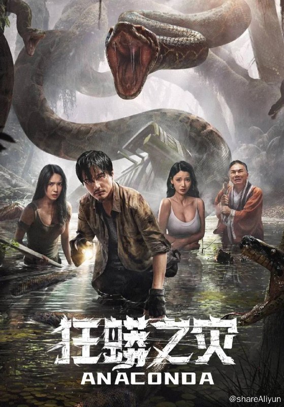 名称：狂蟒之灾 (2024) 4K 60FPS 高帧高码描述：连年亏损的民间马戏团被团长连人带物贱卖给奸商，其中宫兰兰和阿丽以及其他团员在新老板大金牙的忽悠下，一同登船开启了去泰国巡演的旅途