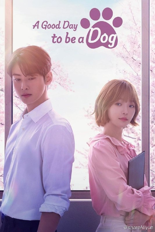 名称：今天也很可爱的狗 (2023) 1080p NF 高码 内封简繁英 更EP06 【热播韩剧】【刮削】描述：此剧讲述了每到凌晨就变成狗，想要解开诅咒的女人和一个怕狗的男人之间发生的推拉爱情故事