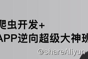 名称：【路飞学城】爬虫开发+APP逆向超级大神班-01期 - 带源码课件描述：这是一套系统的培训教程，适合零基础小白进阶提升，同时也适合缺少实战经验的应届大学生学习