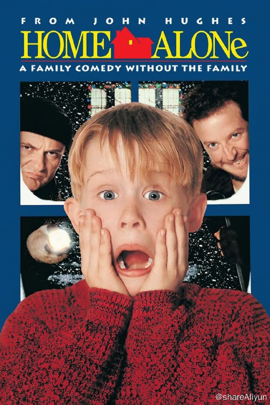 名称：小鬼当家  系列7部 国语描述：一年一度的圣诞节又到了