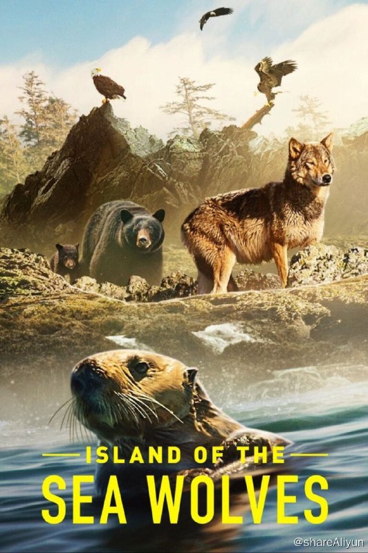 名称：海狼之岛 (2022) 1080P 中英外挂字幕描述：探索狂野又奇妙的温哥华岛