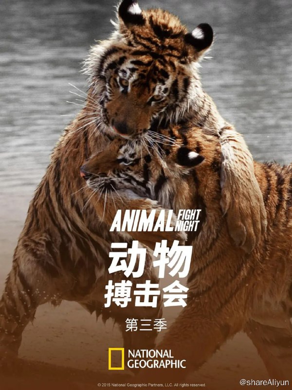 名称：动物搏击会 第三季 (2015) 1080描述：《动物搏击会》第三季的六集影片介绍动物界最大、最凶恶，往往也最令人惊讶的战士