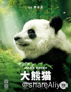 名称：大熊猫 Pandas (2018) IMAX HDR 4K REMUX描述：IMAX打造的原创纪录片　　在中国成都熊猫基地，科学家们致力于让成年熊猫繁殖，将幼崽引入野外