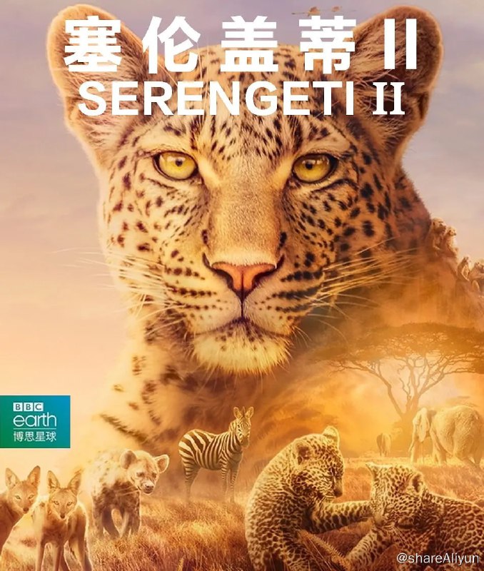 名称：塞伦盖蒂 第二季 Serengeti Season 2 (2021)描述：创新性的系列回归，聚焦稀树草原上最具标志性的动物，展现它们之间充满了戏剧性与丰沛情感的故事