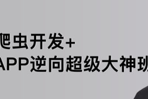 名称：【路飞学城】爬虫开发+APP逆向超级大神班-01期描述：从Python语言的基本特性入手，详细介绍了Python爬虫开发的相关知识，涉及HTTP、HTML、JavaScript、正则表达式、自然语言处理、数据科学等内容