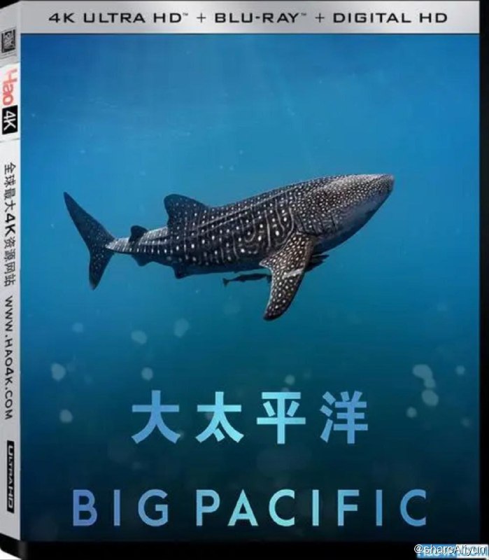 名称：大太平洋 (2017) 4K REMUX (蓝光 原盘) 中字外挂字幕描述：太平洋覆盖了整个地球面积的三分之一