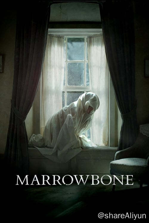 名称：马柔本宅秘事 (2017)描述：兄弟姐妹四人在母亲去世后，去到一座老房子寻求庇护，逐渐发现房子背后隐藏的险恶秘密