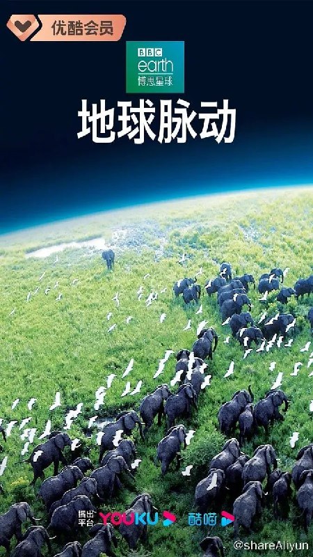 名称：地球脉动 第一季 Planet Earth Season 1 (2006) 4K描述：BBC曾经制作出《蓝色星球》的纪录片摄影团队，再次集结奉上了这部堪称难以超越的经典纪录片《地球脉动》